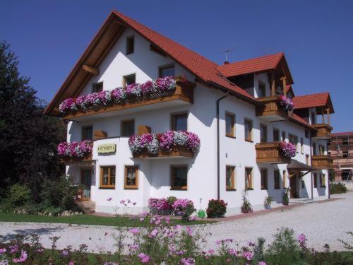 Hotel Garni Hopfengold Wolnzach Exterior photo